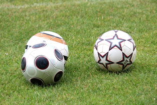 MILAN SPORTS-未来足球市场：数字资产与足球产业的融合，足球概念数字货币