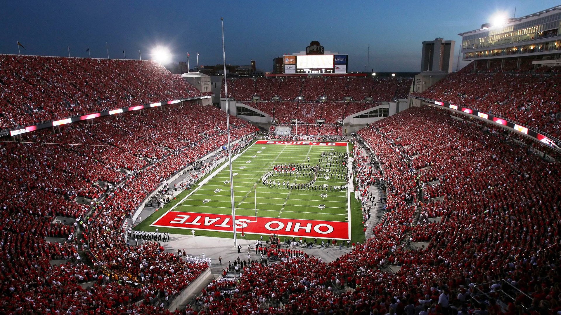 篮球明星成长经历